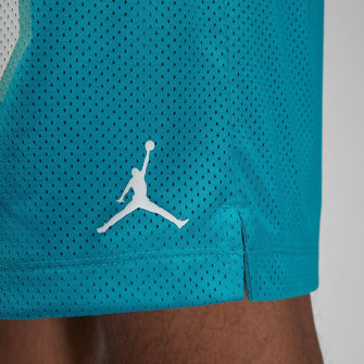 Air Jordan Essentials 23 Graphic Shorts ''Aquatone''
