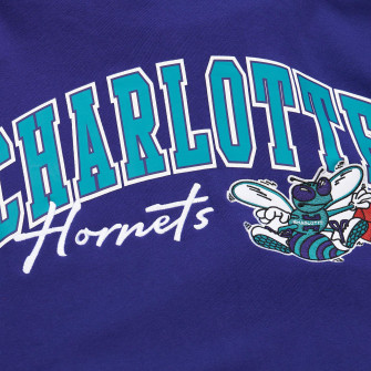 M&N NBA Charlotte Hornets Vintage Logo Premium Hoodie ''Purple''