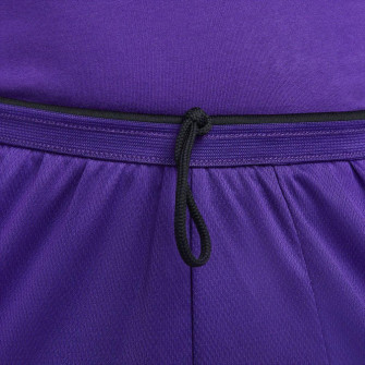 Nike Dri-FIT Swoosh Graphic Shorts ''Court Purple''