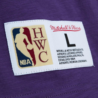 M&N NBA All-Star Weekend 1995 T-Shirt ''Purple''