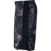 Nike Dry Lebron Shorts