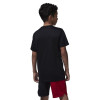 Air Jordan Jumpman Graphic Kids T-Shirt ''Black''