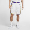 Nike NBA LA Lakers Swingman Shorts ''White/Purple''