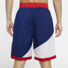 Nike Dri-FIT Throwback Shorts ''Blue Void''