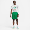 Nike Dri-FIT Basketball Shorts ''Green''