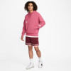 Nike Giannis Freak Hoodie ''Sweet Beet''