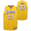 Nike Los Angeles Lakers Lebron James City Edition Jersey ''Amarillo''