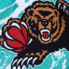 M&N Team Marble Swingman Vancouver Grizzlies 1996 Shorts ''Teal''