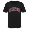 Nike Statment Chicago Bulls Kids T-Shirt ''Black''