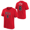 Nike NBA Chicago Bulls Zach LaVine T-Shirt ''Red''