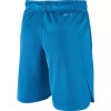 Nike Vent Gfx Shorts ''Blue''